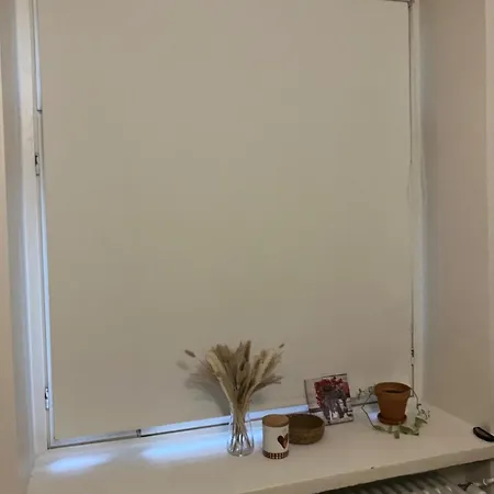 A Great With A Good Location In Kallio Appartement Helsinki